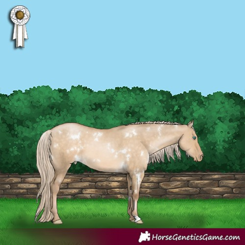 Horse Color:White Spotted Chocolate Palomino Pearl Dun 