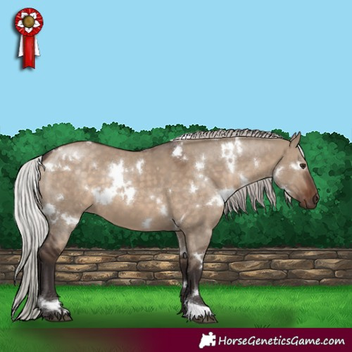 Horse Color:White Spotted Silver Brown Dun 