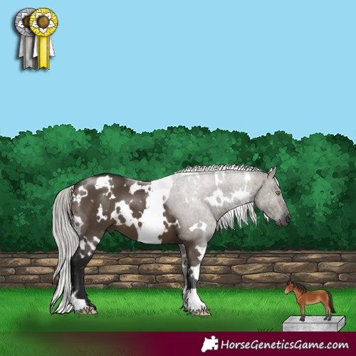 Horse Color:Gray White Spotted Silver Bay Dun Mushroom 