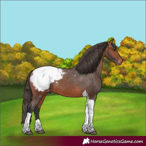 Horse Color:Bay Tobiano Snowcap 