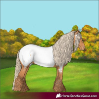 Horse Color:Chestnut Near Fewspot 