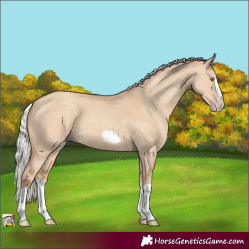 Horse Color:Silver Classic Champagne Dun Splash Frame