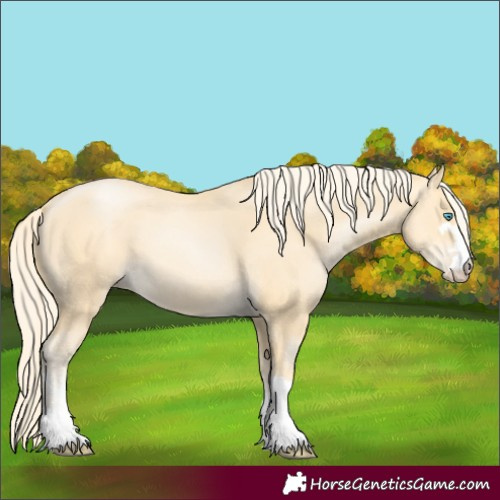 Horse Color:Palomino Pearl