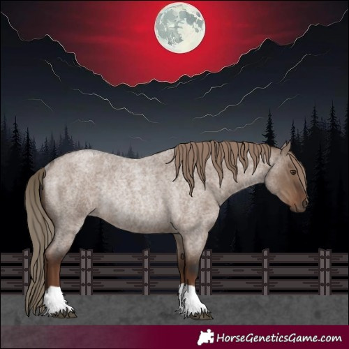 Horse Color:Liver Red Dun Roan Rabicano