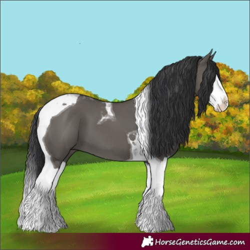 Horse Color:Unknown 