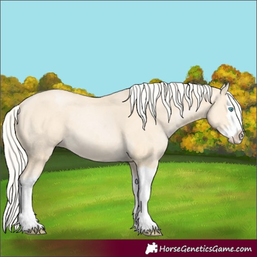 Horse Color:Cremello Splash and Palomino Pearl Splash