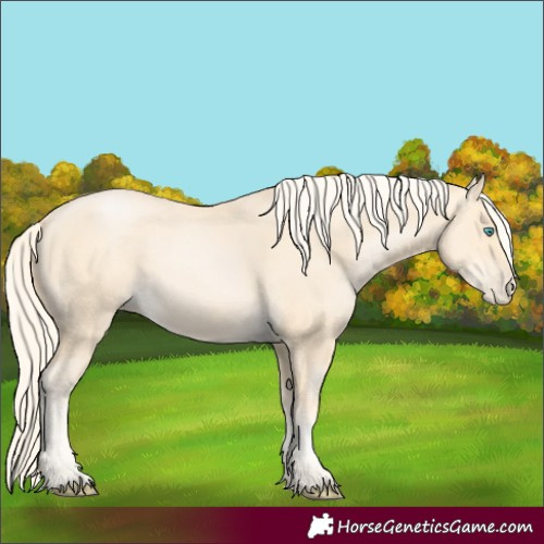 Horse Color:Palomino Pearl