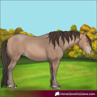 Horse Color:Amber Champagne 
