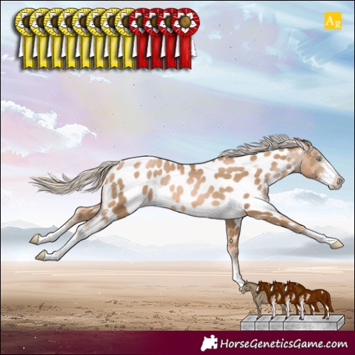 Horse Color:Chocolate Palomino Pearl Sabino Near Leopard