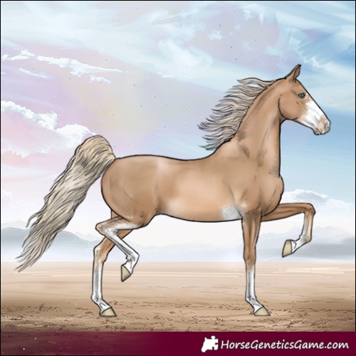 Horse Color:Chocolate Palomino Pearl Sabino 