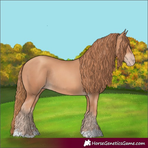Horse Color:Gold Champagne Rabicano 