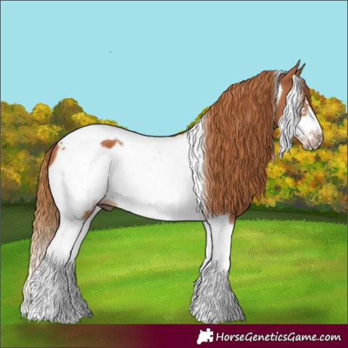 Horse Color:Chestnut Tobiano Frame 