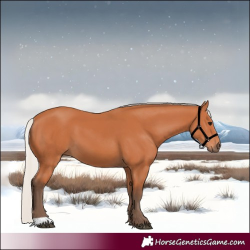 Horse Color:Silver Bay