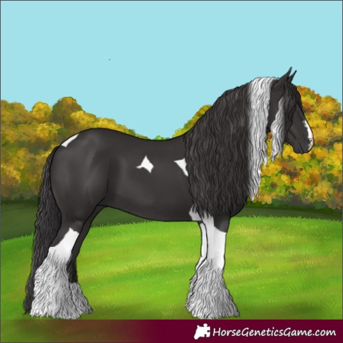 Horse Color:Smoky Black Tobiano 