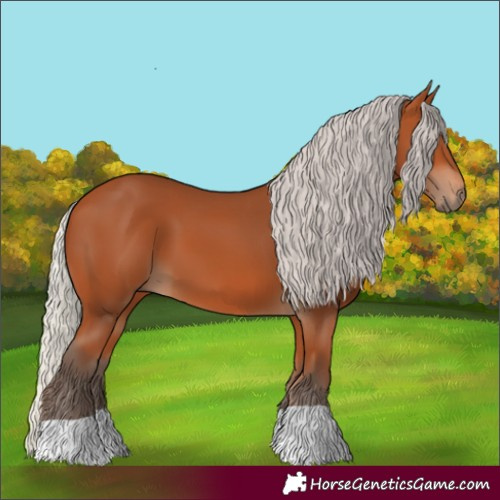 Horse Color:Silver Bay