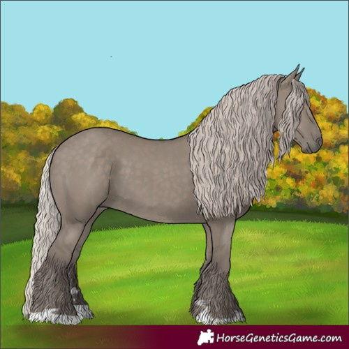 Horse Color:Silver Grullo 