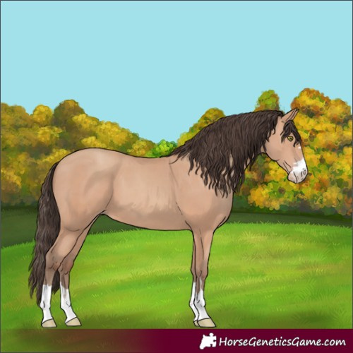 Horse Color:Amber Champagne 