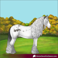 Horse Color:Platinum Grullo Splash Tobiano 