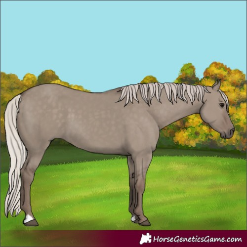Horse Color:Silver Grullo