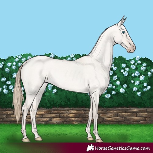 Horse Color:Smoky Creme Roan Dun