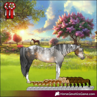 Horse Color:Powder White Gray Buckskin Tobiano Frame