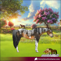 Horse Color:Powder White Gray Buckskin Tobiano Frame 