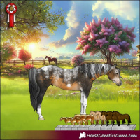 Horse Color:Powder White Gray Buckskin Tobiano Frame