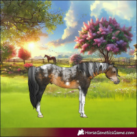 Horse Color:Powder White Gray Buckskin Tobiano Frame 