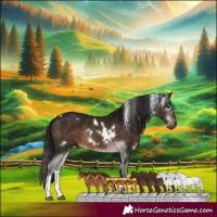 Horse Color:Gray White Spotted Bay Tobiano Rabicano