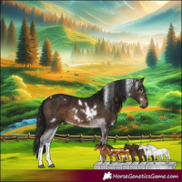 Horse Color:Gray White Spotted Bay Tobiano Rabicano 