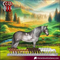 Horse Color:Gray White Spotted Bay Tobiano Rabicano 