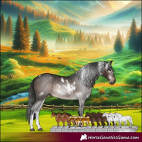 Horse Color:Gray White Spotted Bay Tobiano Rabicano