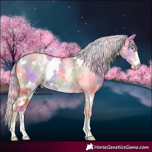 Horse Color:Nacre White Spotted Gold Cream Champagne Pearl Dun Appaloosa 