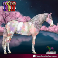 Horse Color:Nacre White Spotted Gold Cream Champagne Pearl Dun Appaloosa