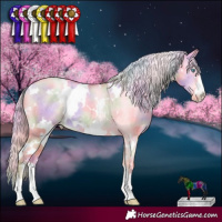 Horse Color:Nacre White Spotted Gold Cream Champagne Pearl Dun Appaloosa 