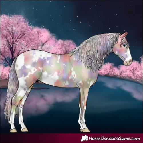 Horse Color:Gray Nacre White Spotted Gold Cream Champagne Pearl Dun Appaloosa 