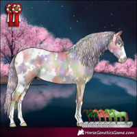 Horse Color:Gray Nacre White Spotted Gold Cream Champagne Pearl Dun Appaloosa