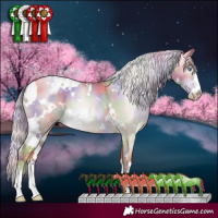 Horse Color:Gray Nacre White Spotted Gold Cream Champagne Pearl Dun Varnish 