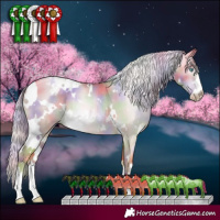 Horse Color:Gray Nacre White Spotted Gold Cream Champagne Pearl Dun Varnish
