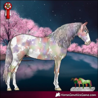 Horse Color:Gray Nacre White Spotted Gold Cream Champagne Pearl Dun Appaloosa 