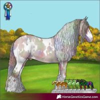 Horse Color:Nacre White Spotted Classic Cream Champagne Dun Varnish