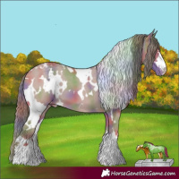 Horse Color:Nacre White Spotted Classic Cream Champagne Dun Appaloosa 