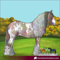 Horse Color:Nacre White Spotted Classic Cream Champagne Dun Appaloosa