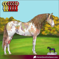Horse Color:Nacre White Spotted Classic Cream Champagne Dun Appaloosa