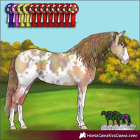 Horse Color:Nacre White Spotted Classic Cream Champagne Dun Varnish