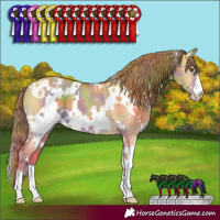 Horse Color:Nacre White Spotted Classic Cream Champagne Dun Varnish