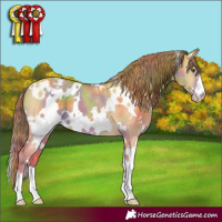 Horse Color:Nacre White Spotted Classic Cream Champagne Dun Appaloosa 