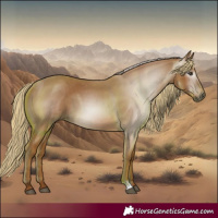 Horse Color:Gray Chestnut 