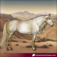 Horse Color:Gray Chestnut 