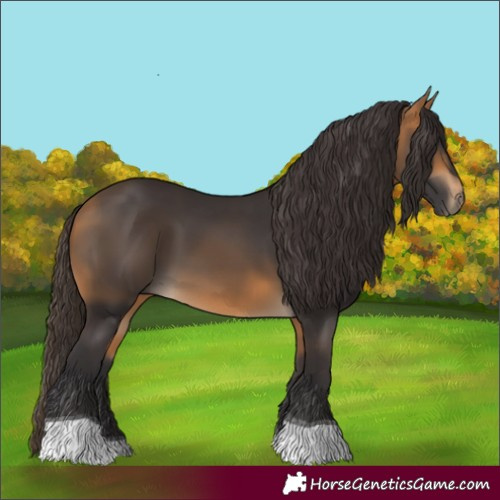 Horse Color:Buckskin Tobiano 